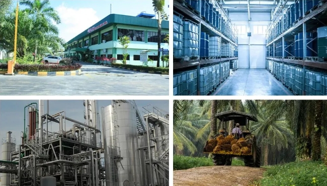 微信截图_20250516145307.png 微信截图_20250516145307.png